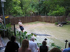 219 Hartley's Crocodile Farm
